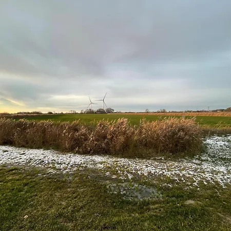 Gulfhof Wangermeer 6 Klüver *