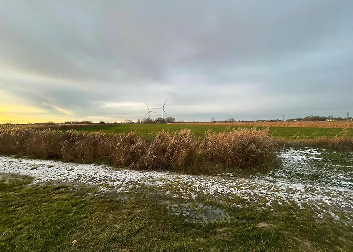 Gulfhof Wangermeer 6 Kluever *